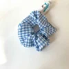 Blue Plaid